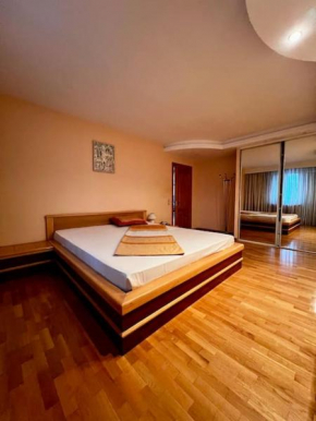 Apartament centru 2 dormitoare